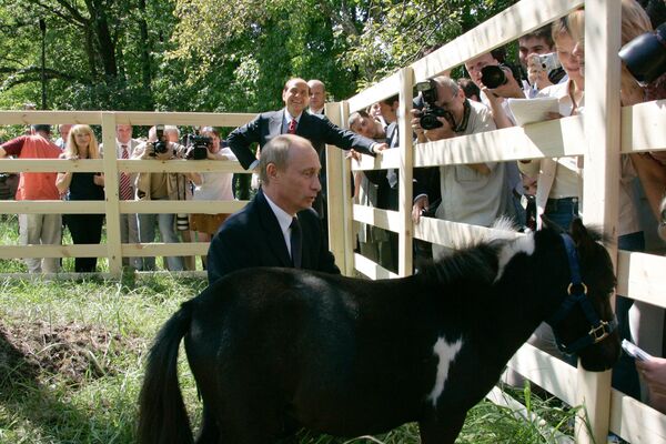 Президент России Владимир Путин с мини-лошадкой по имени Вадик, подаренной ему в Казани - Sputnik Литва