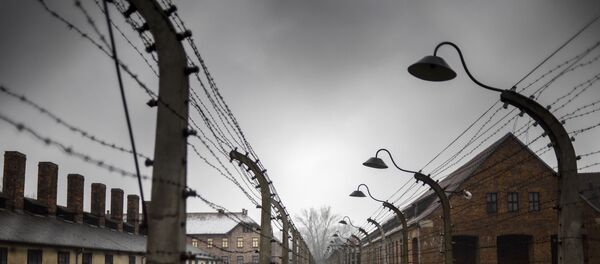 К 70-й годовщине освобождения концлагеря Аушвиц-Биркенау (Освенцим) Красной Армией, архивное фото К 70-й годовщине освобождения концлагеря Аушвиц-Биркенау (Освенцим) Красной Армией, архивное фото - Sputnik Литва