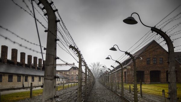 К 70-й годовщине освобождения концлагеря Аушвиц-Биркенау (Освенцим) Красной Армией, архивное фото - Sputnik Lietuva