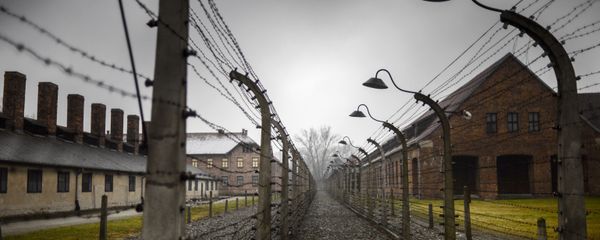 К 70-й годовщине освобождения концлагеря Аушвиц-Биркенау (Освенцим) Красной Армией, архивное фото К 70-й годовщине освобождения концлагеря Аушвиц-Биркенау (Освенцим) Красной Армией, архивное фото - Sputnik Литва