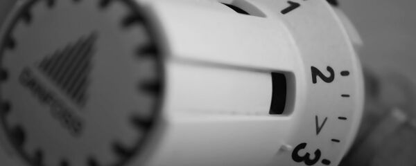 Baterijos šilumos reguliatorius, archyvinė nuotrauka Baterijos šilumos reguliatorius, archyvinė nuotrauka - Sputnik Lietuva