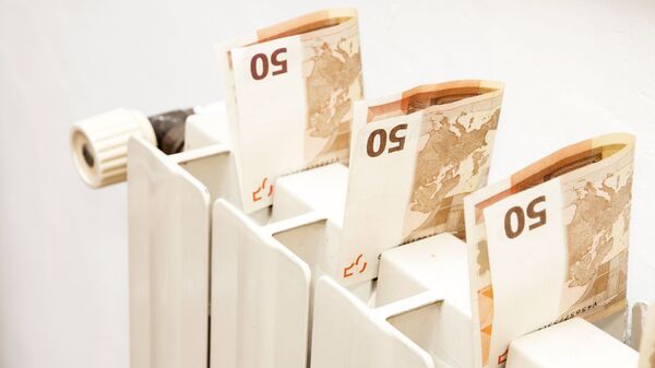 Тепловой радиатор с банкнотами евро, архивное фото - Sputnik Литва