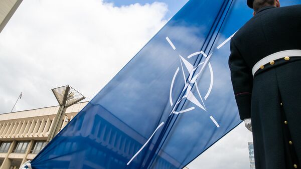 NATO vėliava prie Lietuvos Seimo pastato, archyvinė nuotrauka - Sputnik Lietuva