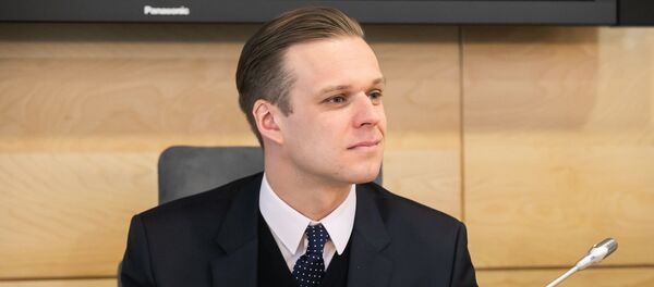 Депутат Сейма Габриэлюс Ландсбергис, архивное фото - Sputnik Литва