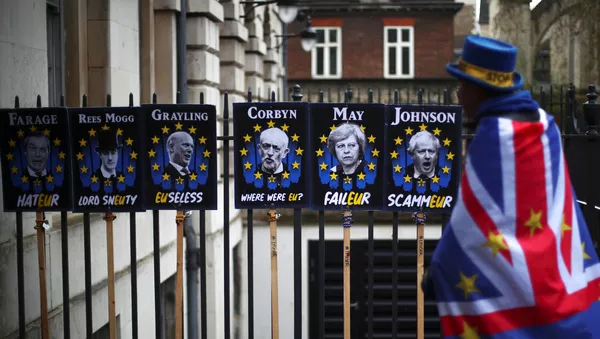 Akcijos prieš Brexit dalyvis - Sputnik Lietuva