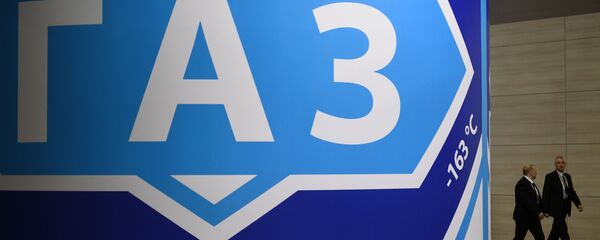 Макет резервуара для сжиженного природного газа на международном арктическом форуме Арктика – территория диалога в Санкт-Петербурге - Sputnik Литва