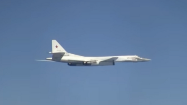Rusijos gynybos ministerija paskelbė Su-27 pakilimą liūties metu vaizdo įrašą  - Sputnik Lietuva