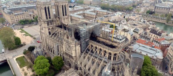 Нотр-Дам с высоты - Sputnik Lietuva