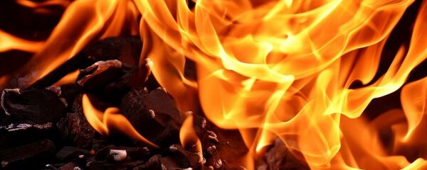 Ugnis Ugnis - Sputnik Lietuva