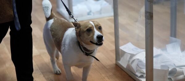 Второй тур выборов президента Украины, 21 апреля 2019 года Второй тур выборов президента Украины, 21 апреля 2019 года - Sputnik Lietuva