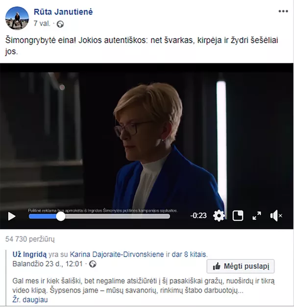 Šimongrybytė eina: Lietuvos politikai pasirodė visu savo grožiu Šimongrybytė eina: Lietuvos politikai pasirodė visu savo grožiu - Sputnik Lietuva