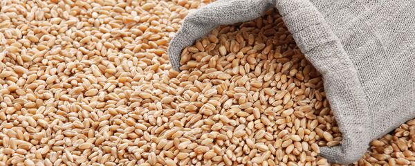 Зерно, архивное фото - Sputnik Литва