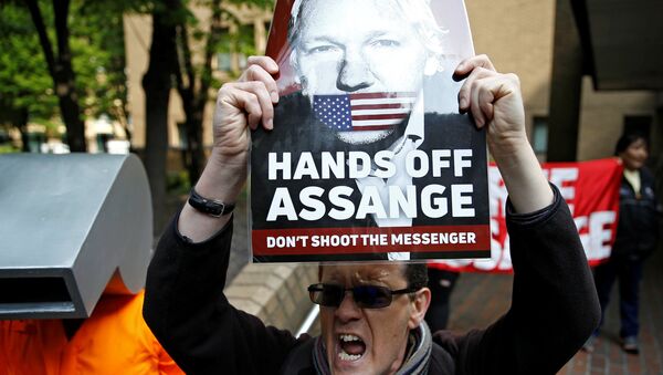 Протестующие перед зданием суда в Лондоне, где проходят слушания по делу основателя Wikileaks Джулиана Ассанжа, 1 мая 2019 года - Sputnik Lietuva