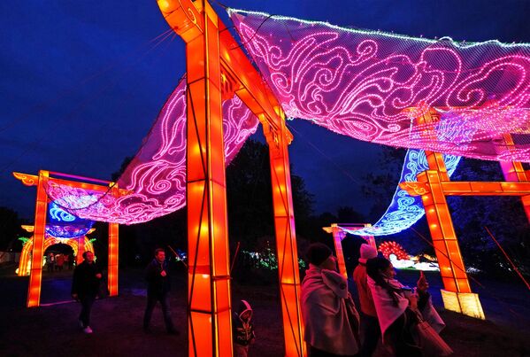 Milžiniškų kinų žibintų ekspozicija festivalyje Kanto saloje Kaliningrade - Sputnik Lietuva