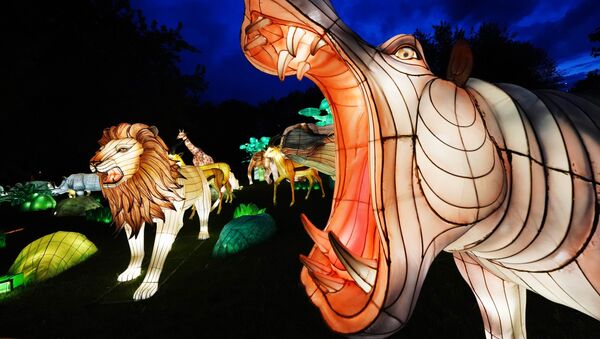 Экспозиция, представленная на фестивале гигантских китайских фонарей на острове Канта в Калининграде - Sputnik Литва