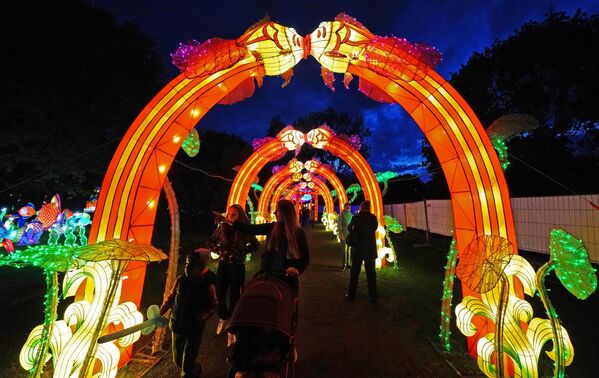 Milžiniškų kinų žibintų ekspozicija festivalyje Kanto saloje Kaliningrade - Sputnik Lietuva