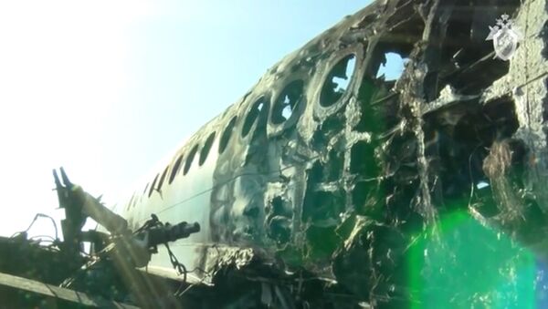 СК опубликовал видео работы следствия на месте ЧП с самолетом в Шереметьево - Sputnik Lietuva