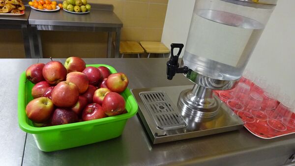 В Литве планируют ввести шведский стол для учеников во всех школах - Sputnik Литва