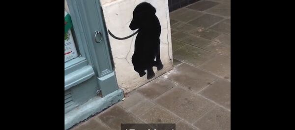 Собака приняла рисунок за другого пса Собака приняла рисунок за другого пса - Sputnik Lietuva