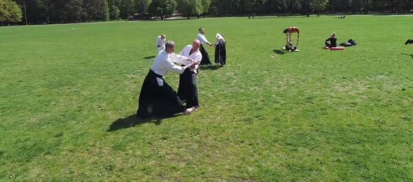 Фестиваль в парке Вингис - Sputnik Литва