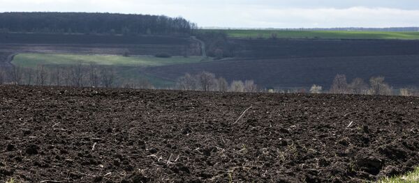 Laukas Laukas - Sputnik Lietuva