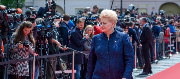 Президент Литвы Даля Грибаускайте на собрании лидеров Европейского совета в Румынии, архивное фото - Sputnik Литва