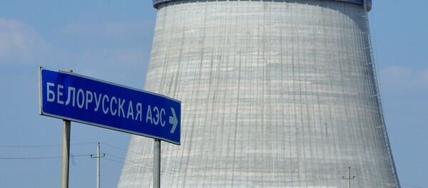 Строительство БелАЭС, архивное фото - Sputnik Литва