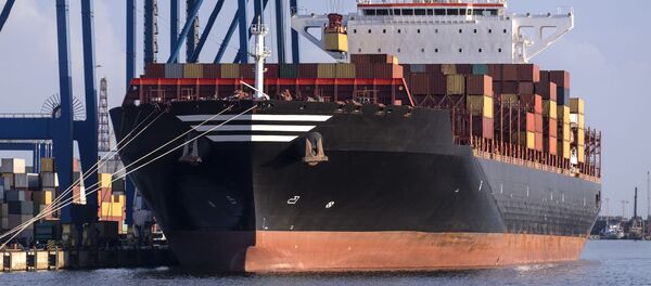 Погрузка контейнеров в порту Клайпеды, архивное фото - Sputnik Литва