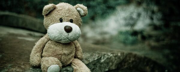 Плюшевый медведь, архивное фото - Sputnik Литва