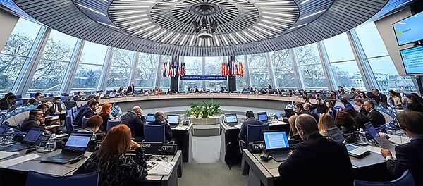 Заседание комитета министров Совета Европы, архивное фото - Sputnik Литва