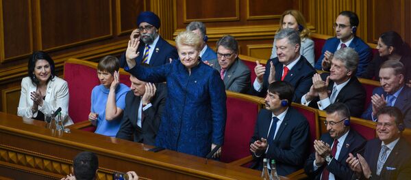 Даля Грибаускайте на инаугурации Владимира Зеленского - Sputnik Литва