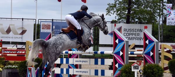 HEST 2019 Lietuvoje HEST 2019 Lietuvoje - Sputnik Lietuva