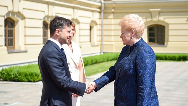 Президент Украины Владимир Зеленский и президент Литвы Даля Грибаускайте - Sputnik Lietuva