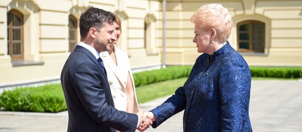 Президент Украины Владимир Зеленский и президент Литвы Даля Грибаускайте - Sputnik Литва