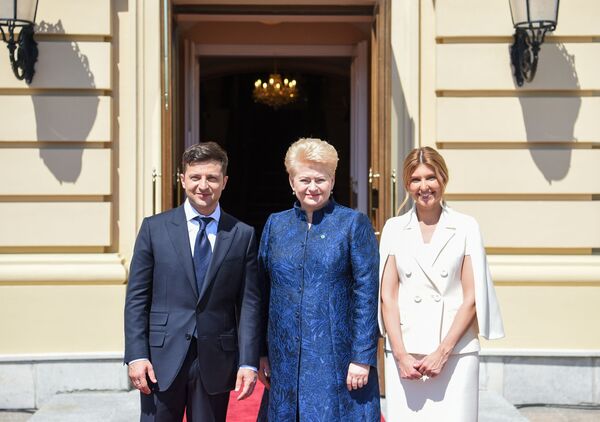 Dalia Grybauskaitė susitiko su Vladimiru Zelenskiu Dalia Grybauskaitė susitiko su Vladimiru Zelenskiu - Sputnik Lietuva