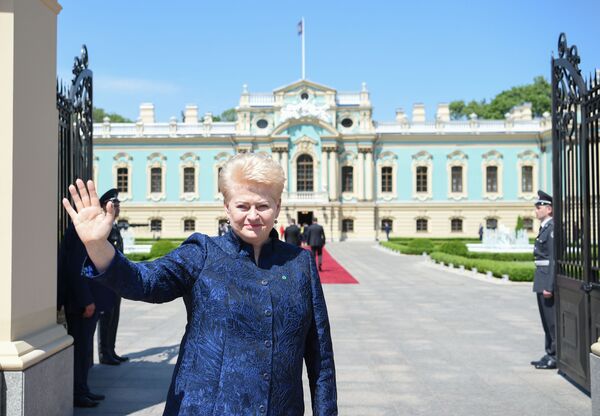 Dalia Grybauskaitė susitiko su Vladimiru Zelenskiu Dalia Grybauskaitė susitiko su Vladimiru Zelenskiu - Sputnik Lietuva