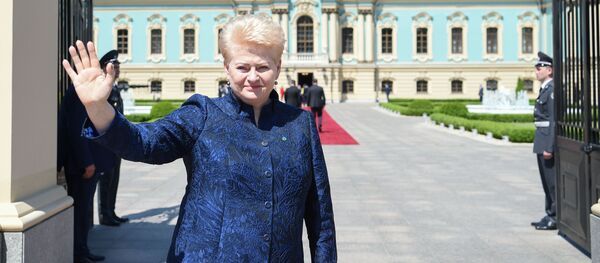 Даля Грибаускайте на инаугурации Владимира Зеленского - Sputnik Литва