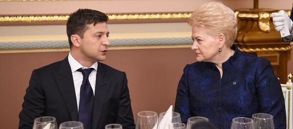 Президент Украины Владимир Зеленский и президент Литвы Даля Грибаускайте - Sputnik Литва