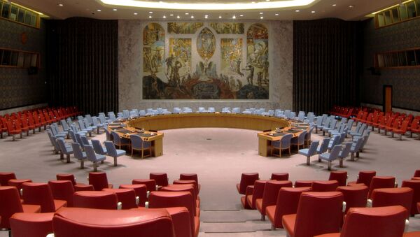 Зал заседаний Совета Безопасности ООН, архивное фото - Sputnik Lietuva
