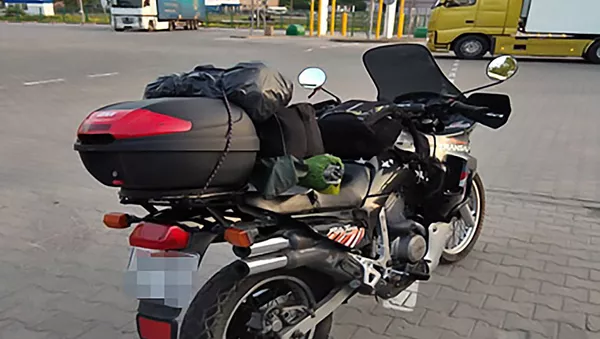 Honda Transalp XL600 - Sputnik Lietuva