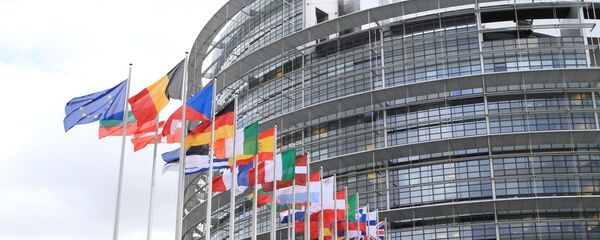 Европейский парламент и флаги европейских стран, архивное фото Европейский парламент и флаги европейских стран, архивное фото - Sputnik Литва