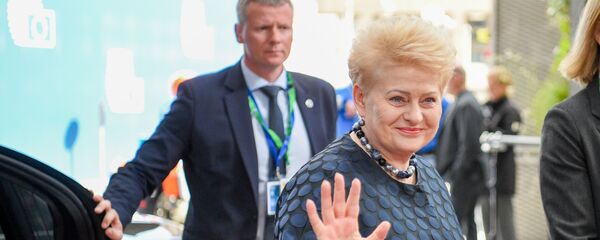Даля Грибаускайте в Брюсселе, архивное фото Даля Грибаускайте в Брюсселе, архивное фото - Sputnik Литва