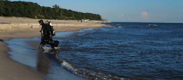 Ловец янтаря на пляже в поселке Янтарный Калининградской области, архивное фото - Sputnik Литва