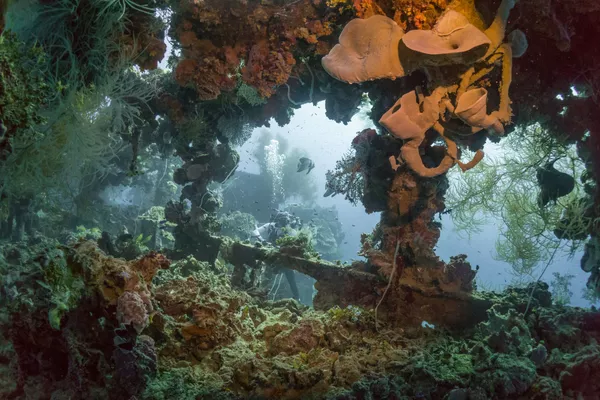 Затонувший японский танкер Shinkoku Maru Затонувший японский танкер Shinkoku Maru