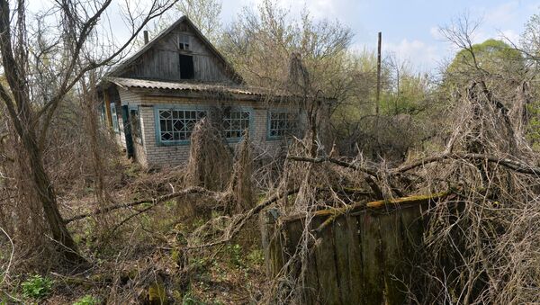 Белорусский сектор зоны отчуждения Чернобыльской АЭС, архивное фото - Sputnik Lietuva
