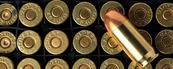Патроны, архивное фото - Sputnik Литва
