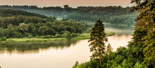 Река в Литве, пейзаж, архивное фото Река в Литве, пейзаж, архивное фото - Sputnik Литва