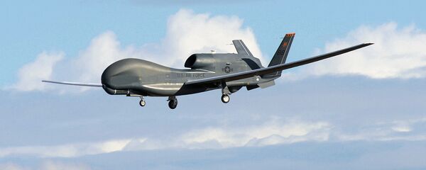 JAV karinių oro pajėgų nepilotuojamasis aparatas RQ-4B-40 Global Hawk    - Sputnik Lietuva