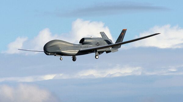 Американский беспилотный летательный аппарат ВВС RQ-4 Global Hawk, архивное фото - Sputnik Литва