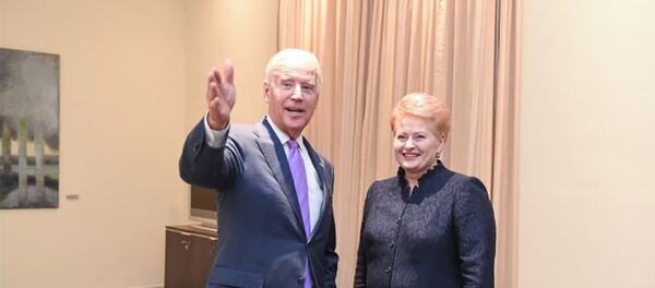 Встреча президента Литвы с вице-президентом США Джозефом Байденом Встреча президента Литвы с вице-президентом США Джозефом Байденом - Sputnik Литва